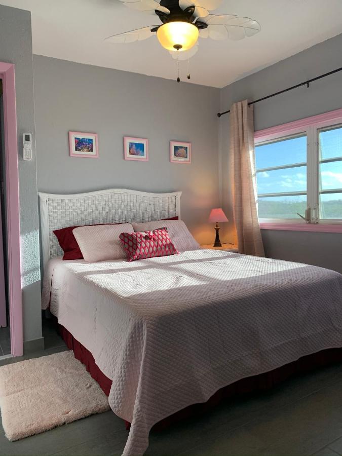 Ferienwohnung Turtles Nest Bahamas George Town Exterior foto