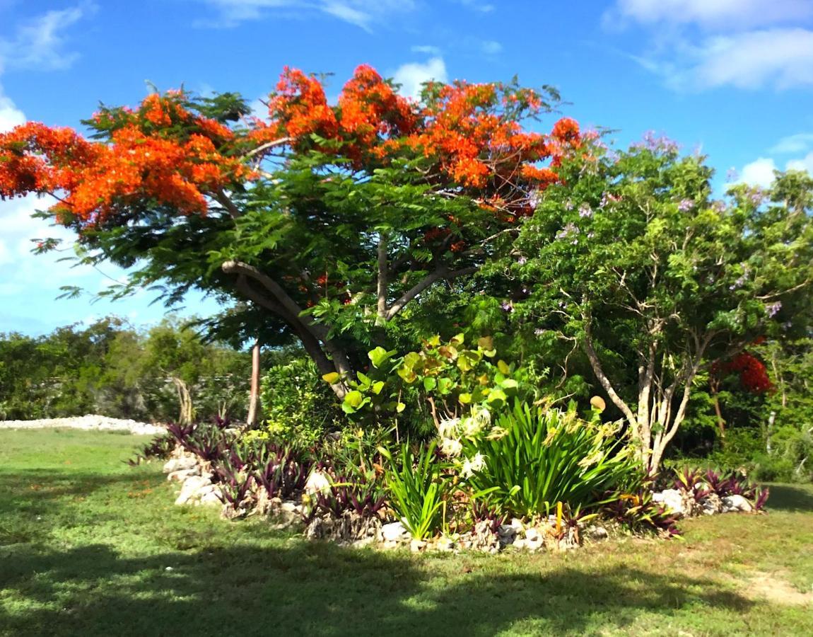 Ferienwohnung Turtles Nest Bahamas George Town Exterior foto